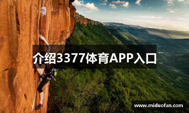 介绍3377体育APP入口